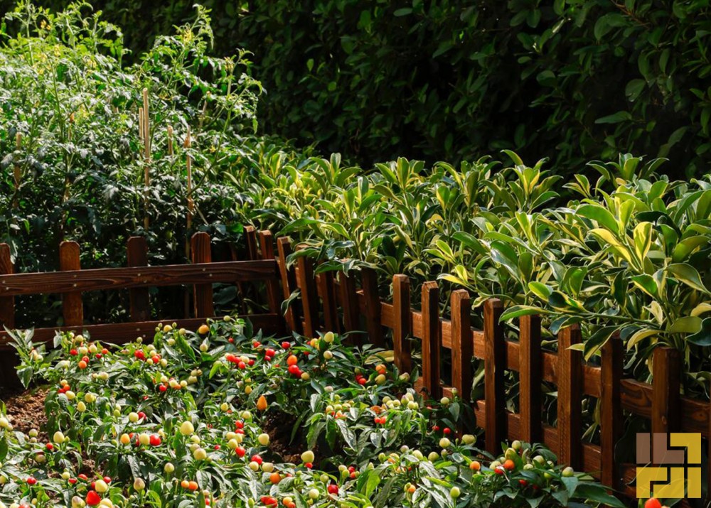 室外會所 栽種區域